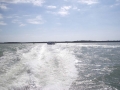 caladesi-island-006