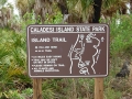 caladesi-island-009