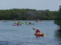 caladesi-island-004